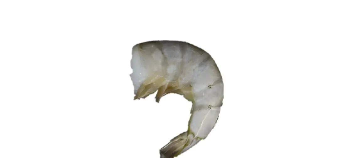Raw Headless Shell-On