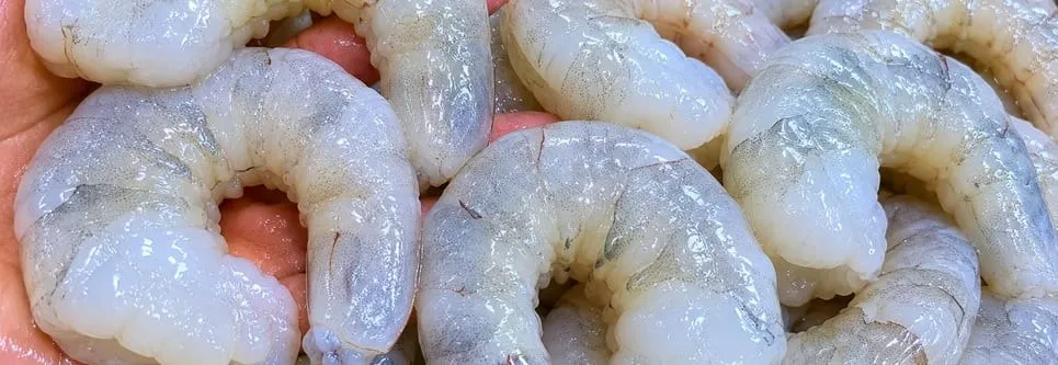 Vannamei — Udang Vaname